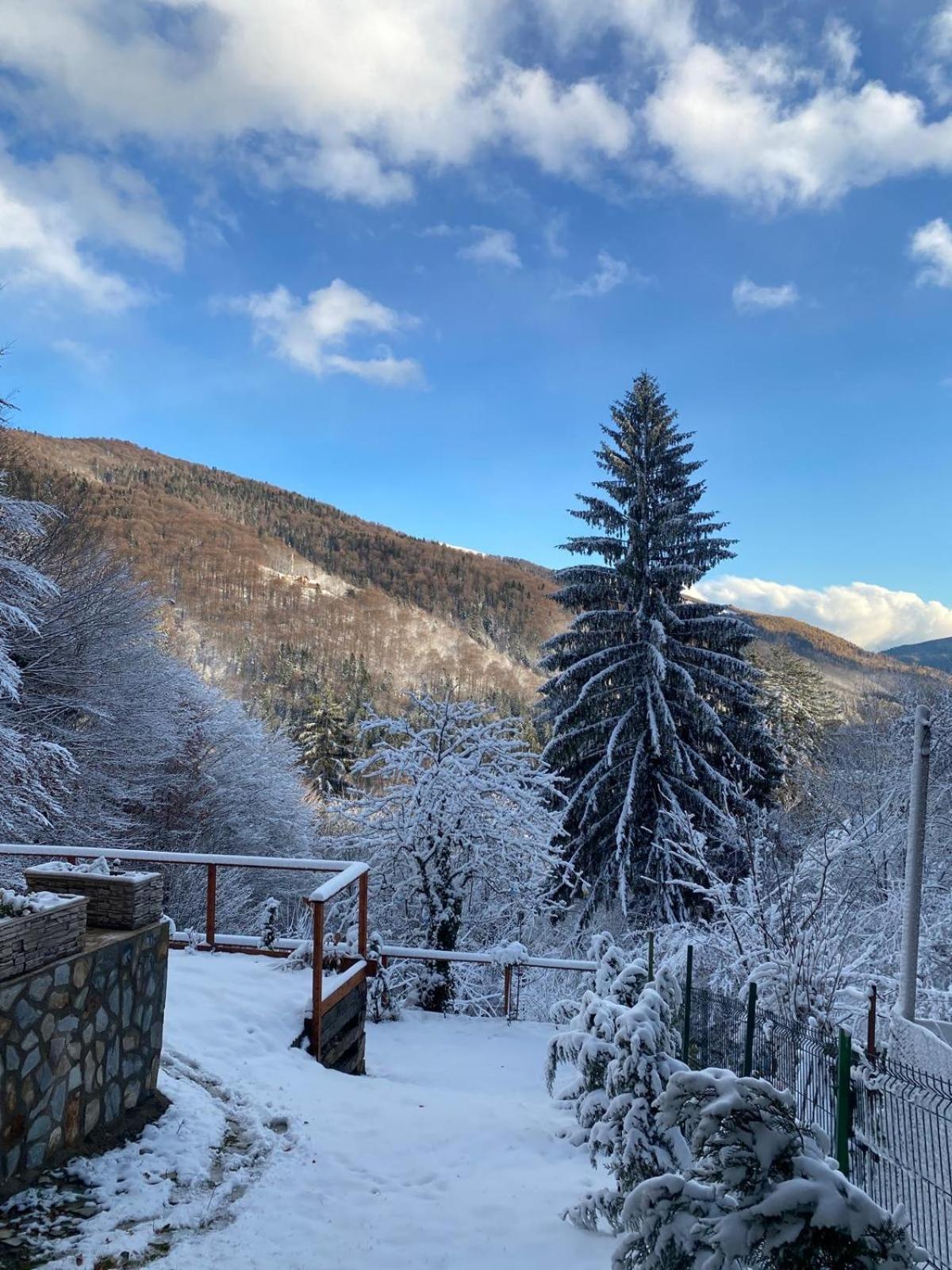 Vila Stone House Sinaia Exteriér fotografie